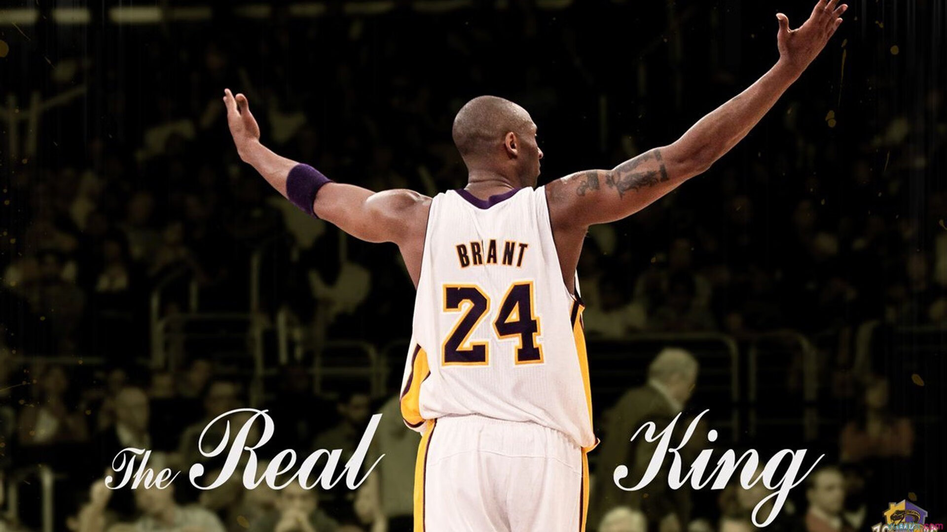 美国CS_GO战队发力社交媒体运营，csgo美国官网